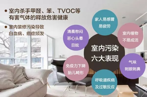裝修污染早已伸向了學校？中學生無緣高考的背后是什么？